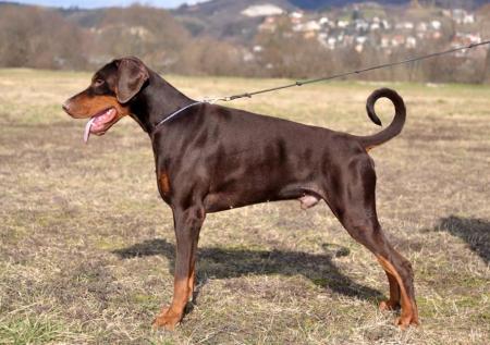 Chaos of BlackMagic Land