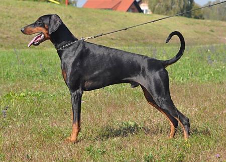 Riddick of BlackMagic Land