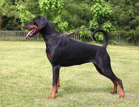 Vida of BlackMagic Land